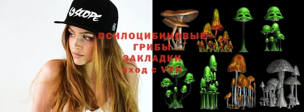 ГАЛЛЮЦИНОГЕННЫЕ ГРИБЫ Мегион