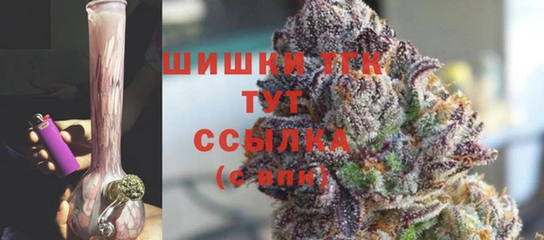 эйфоретик Михайлов