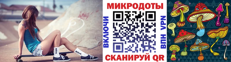 Галлюциногенные грибы Psilocybine cubensis  закладка  Сусуман 